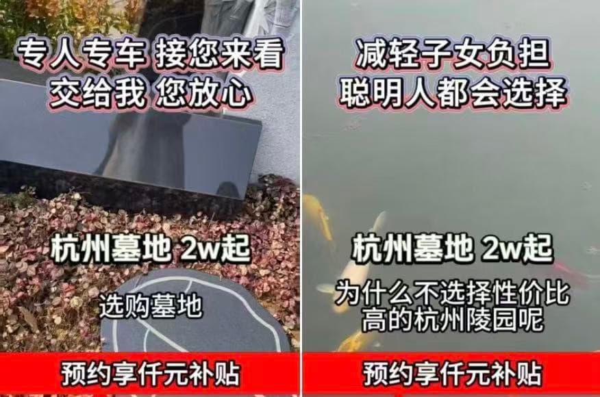 信息流混剪 内容截图